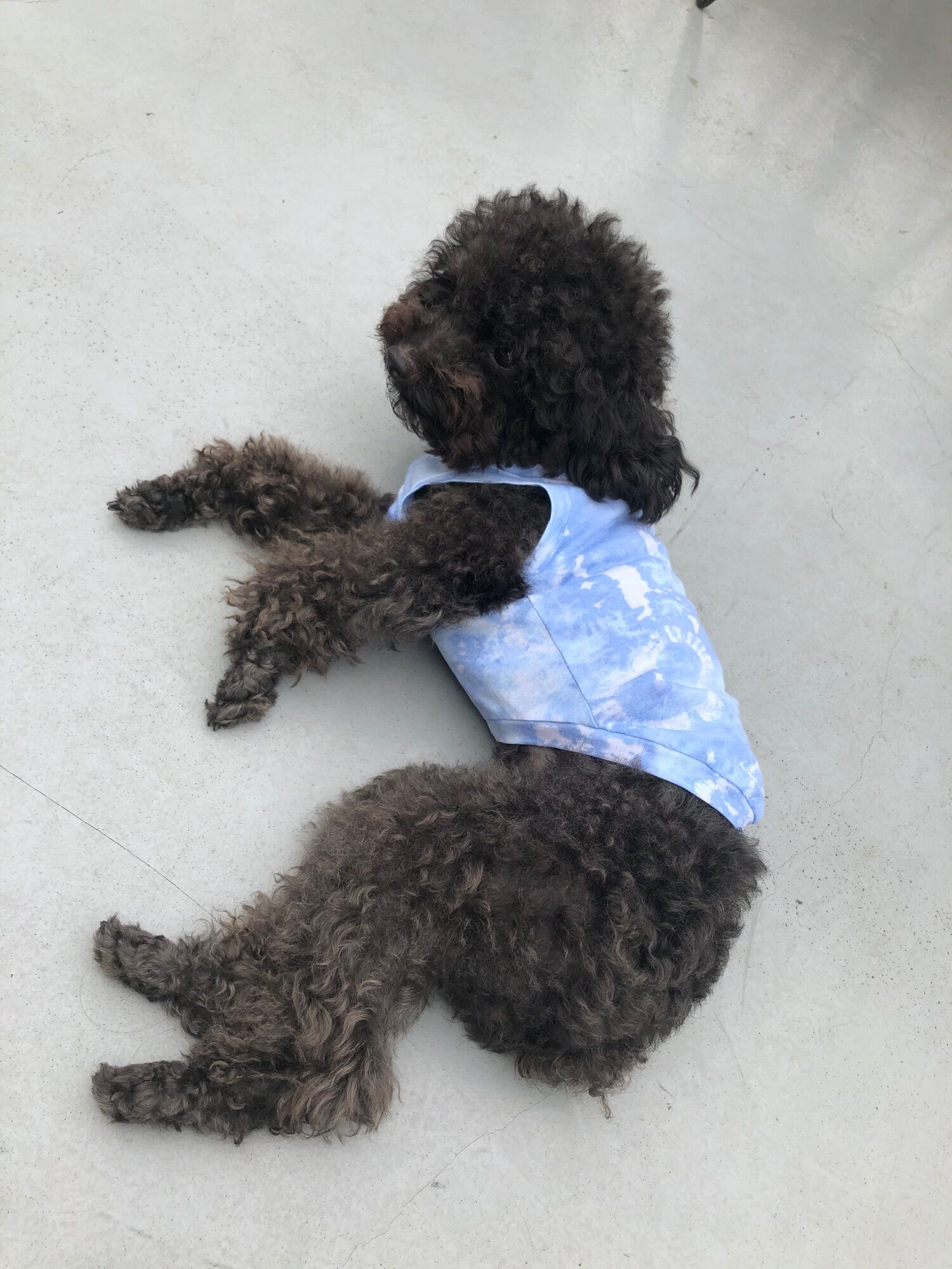 Áo ba lỗ cotton loang chó mèo
