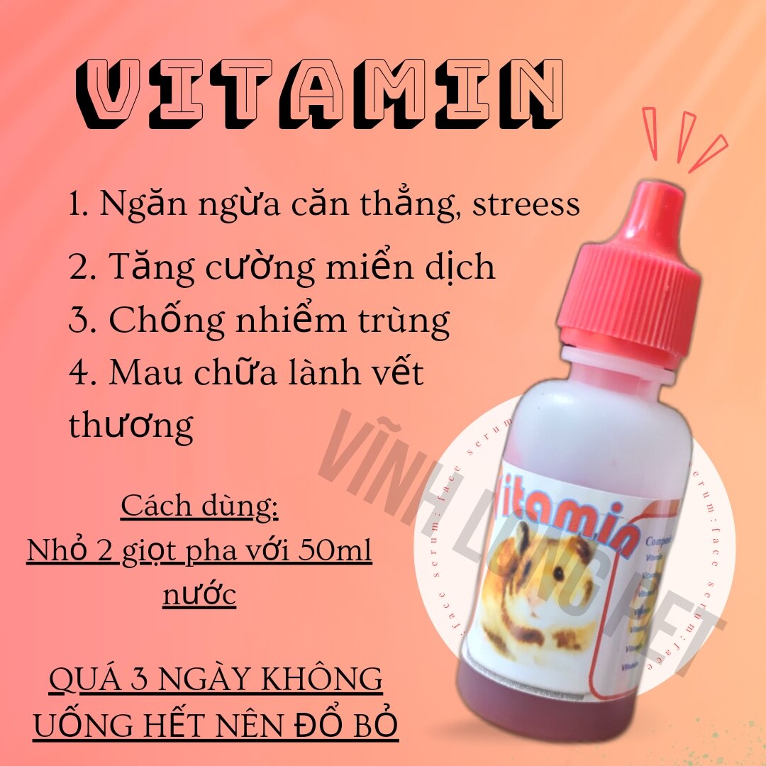 Vitamin & Tiêu chảy Hamster thú cưng - Hàng Thái Lan