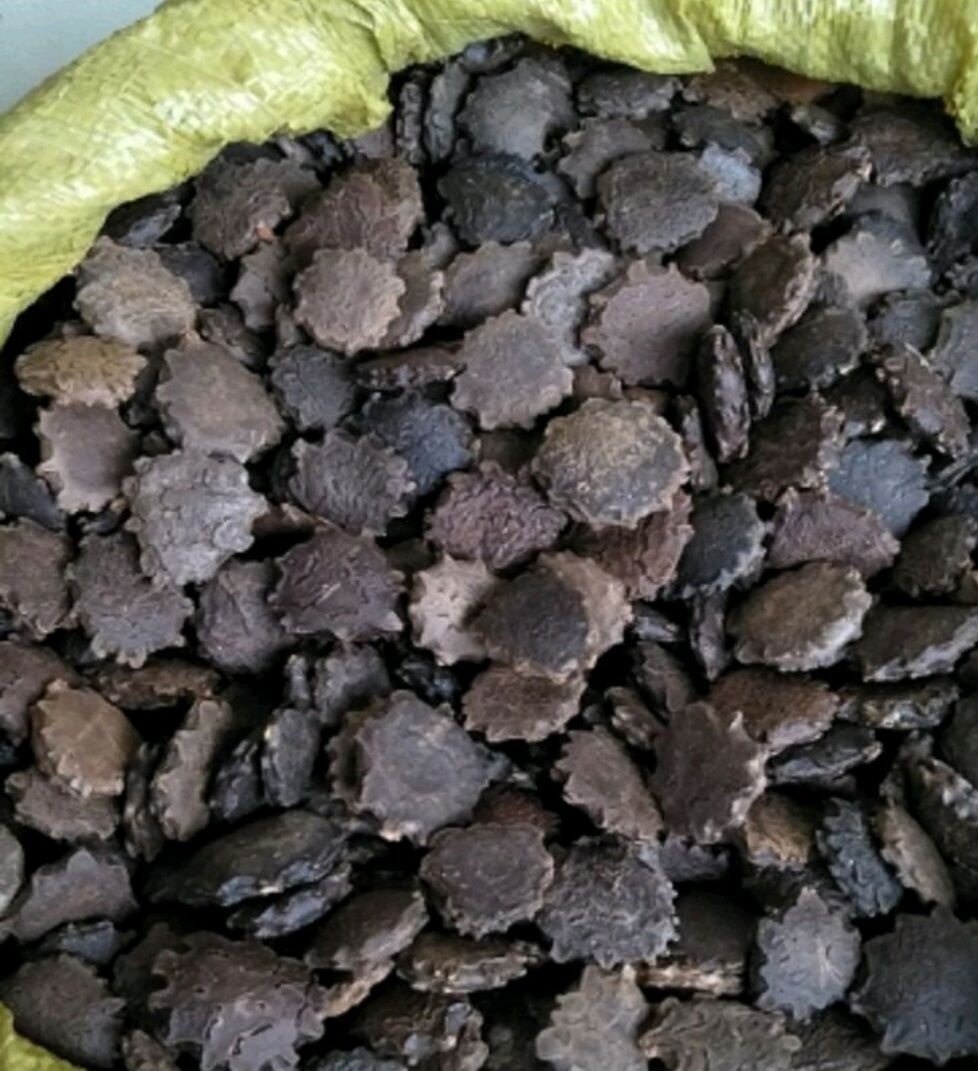 HẠT GẤC KHÔ 500G