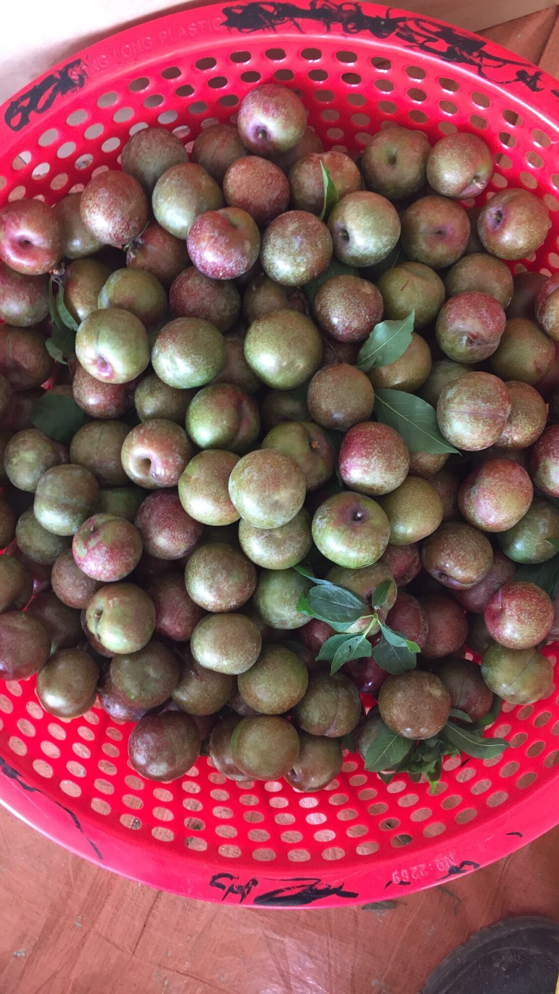 Mận hậu