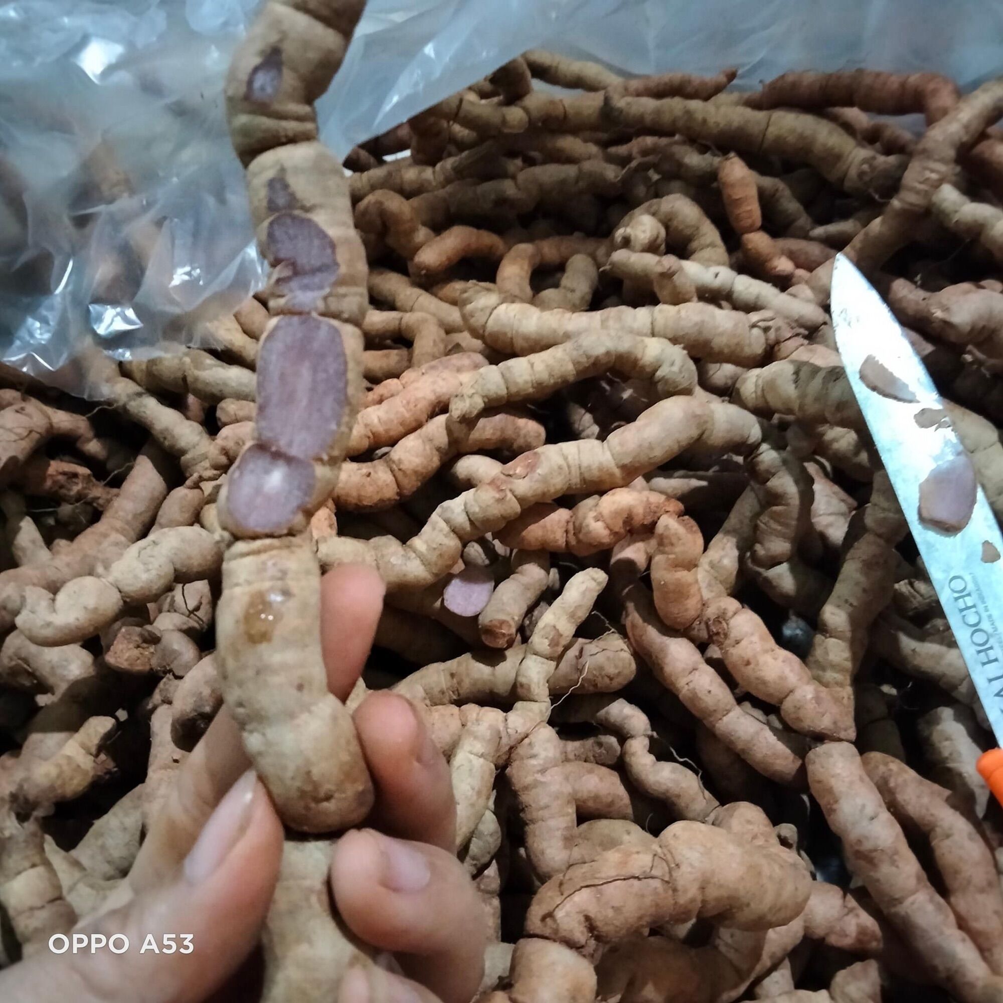 Ba Kích Tím Tươi 1kg