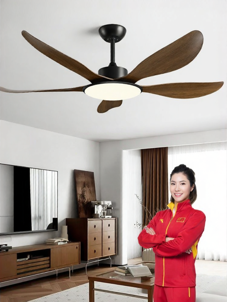 HUANGJIANG | Modern Minimalist Variable Frequency Ceiling Fan Light Black