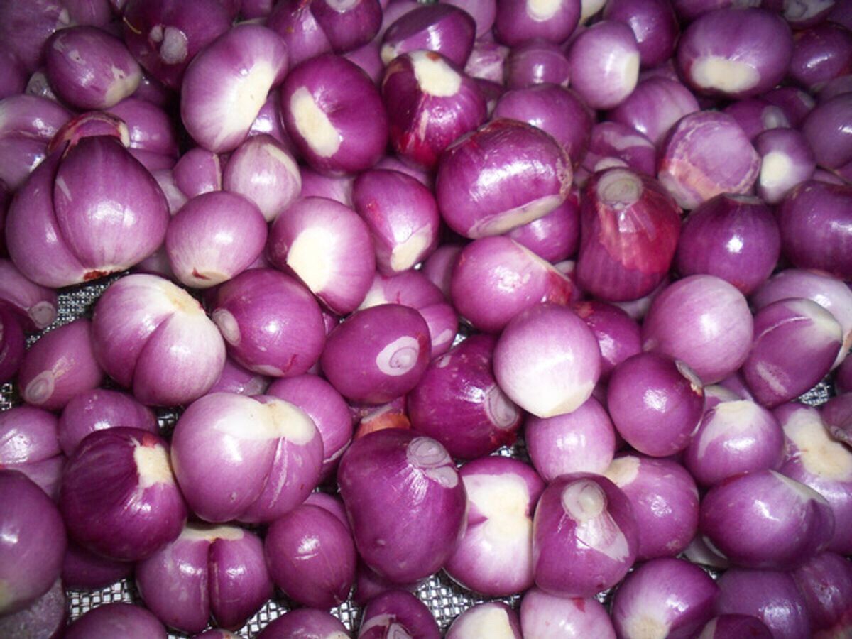 HÀNH TÍM LÝ SƠN QUẢNG NGÃI 1KG
