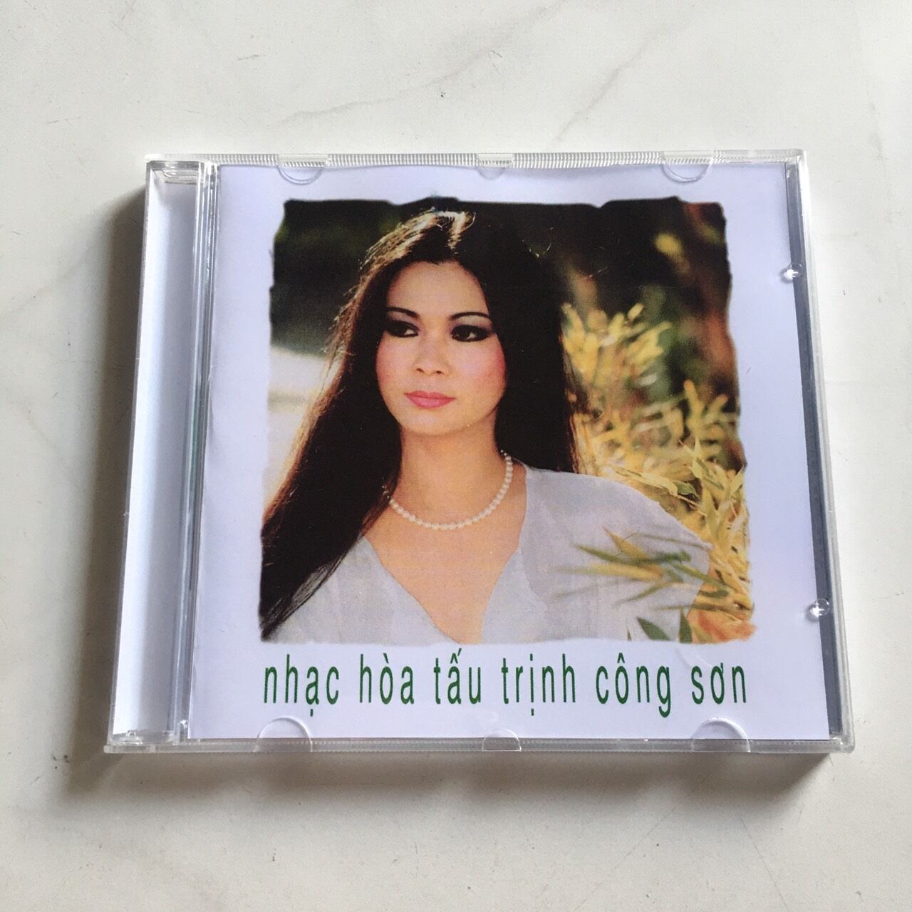 Nhạc Hòa tấu Trịnh Công Sơn