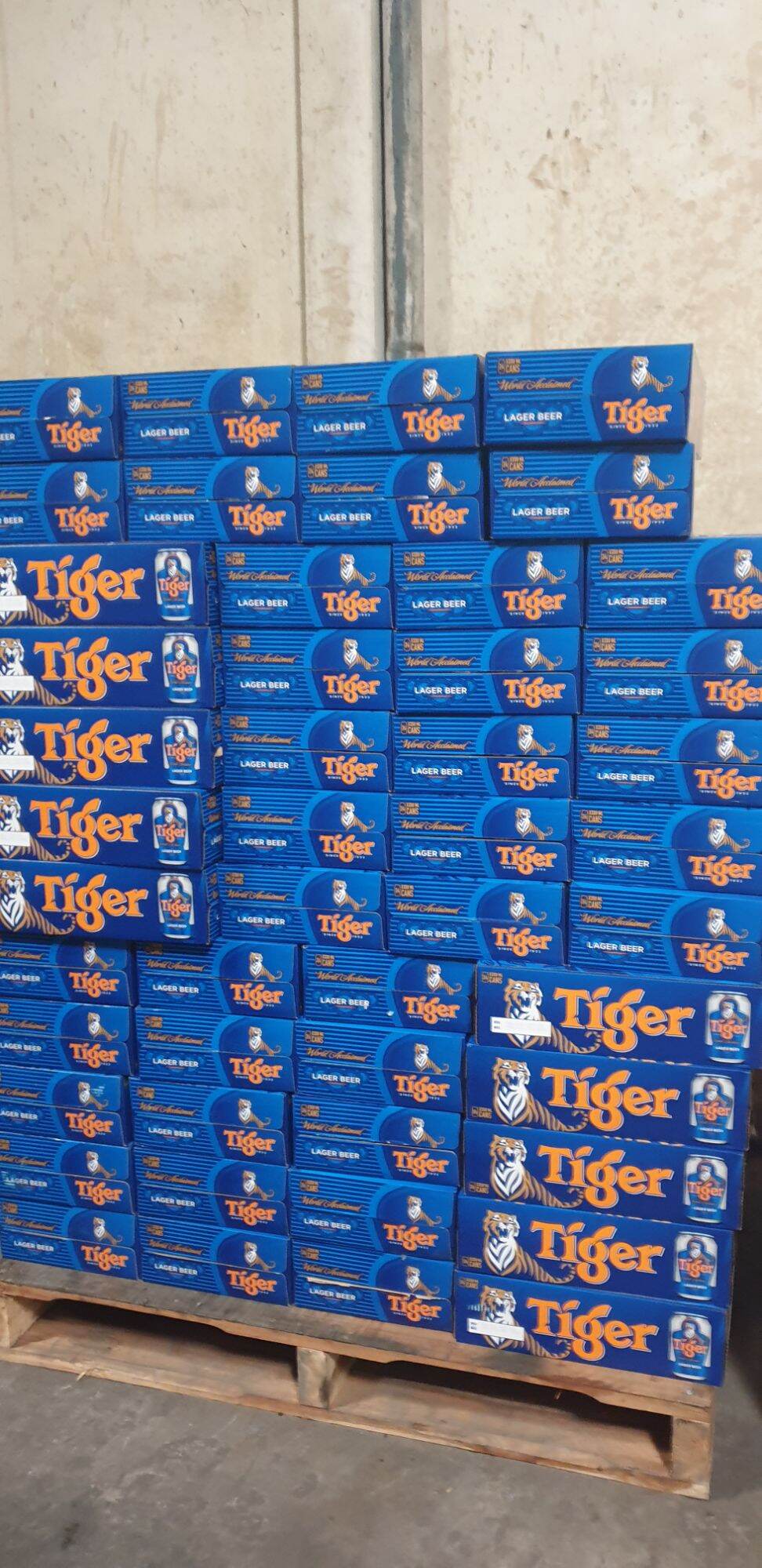 1 thùng 24 lon Tiger nâu