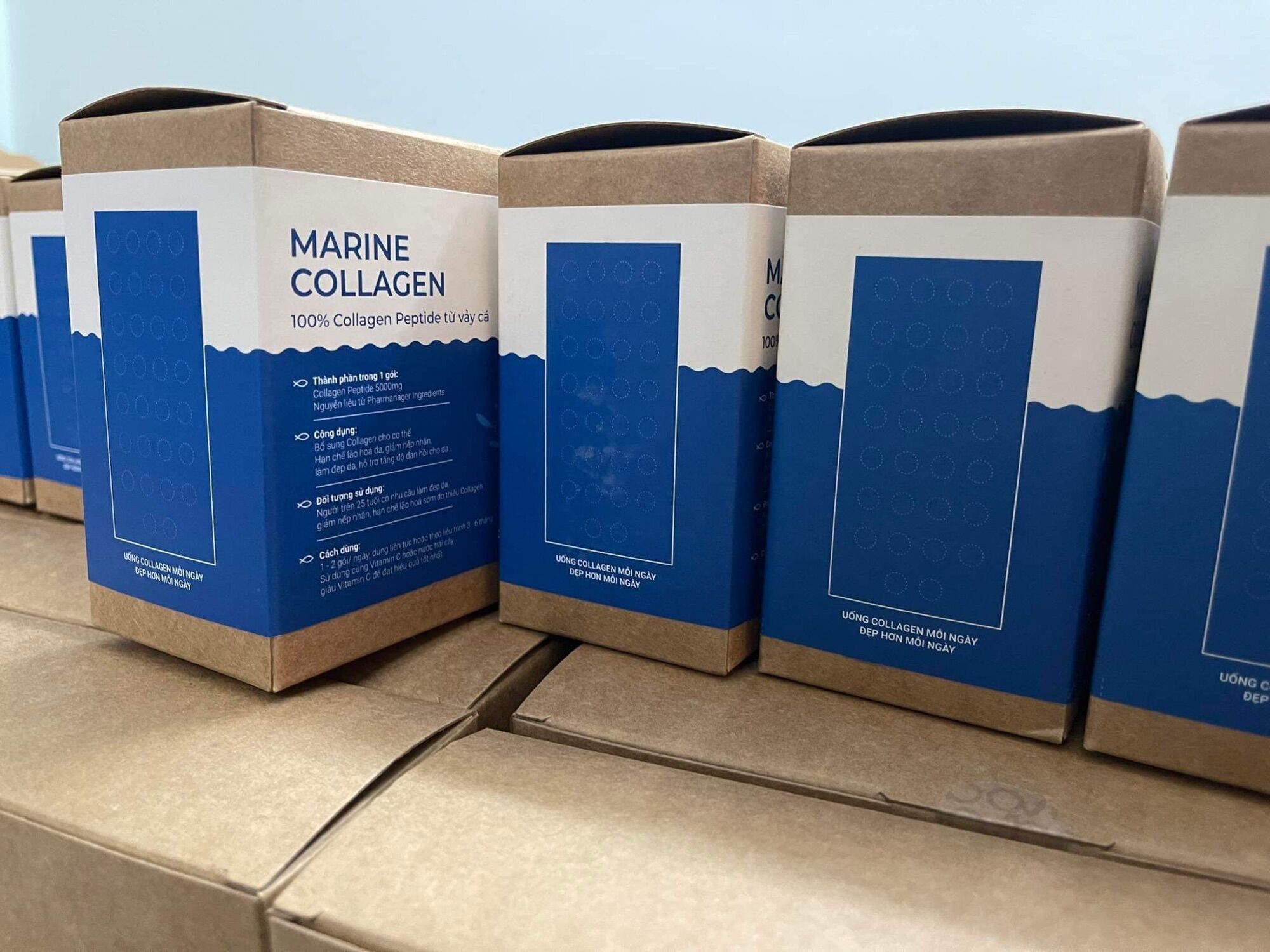 Marine Collagen - 100% Collagen Từ Vảy Cá Hồi
