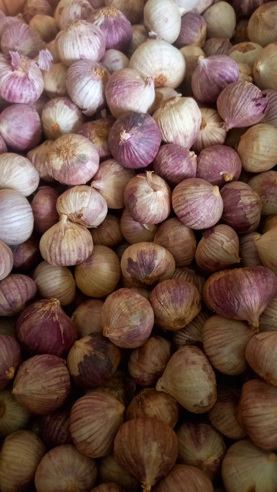 Tỏi cô đơn (500 gr) củ nhỏ