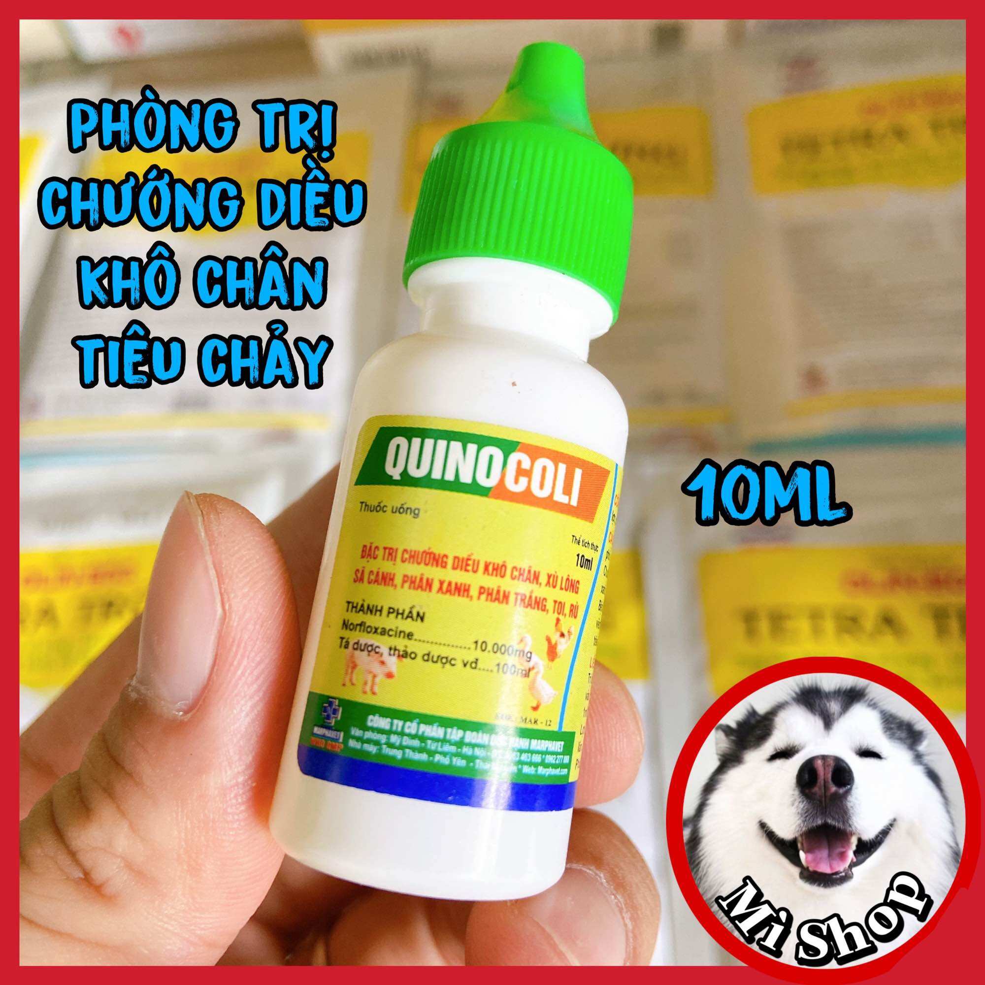 Flosal d lọ 10ml cho gà, khò khè, sổ mũi