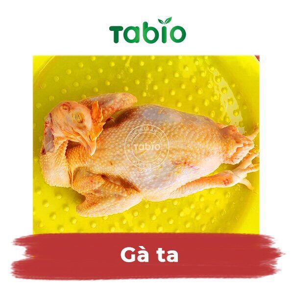 HCM - Gà ta 1,2kg - 1,3kg - TABIO