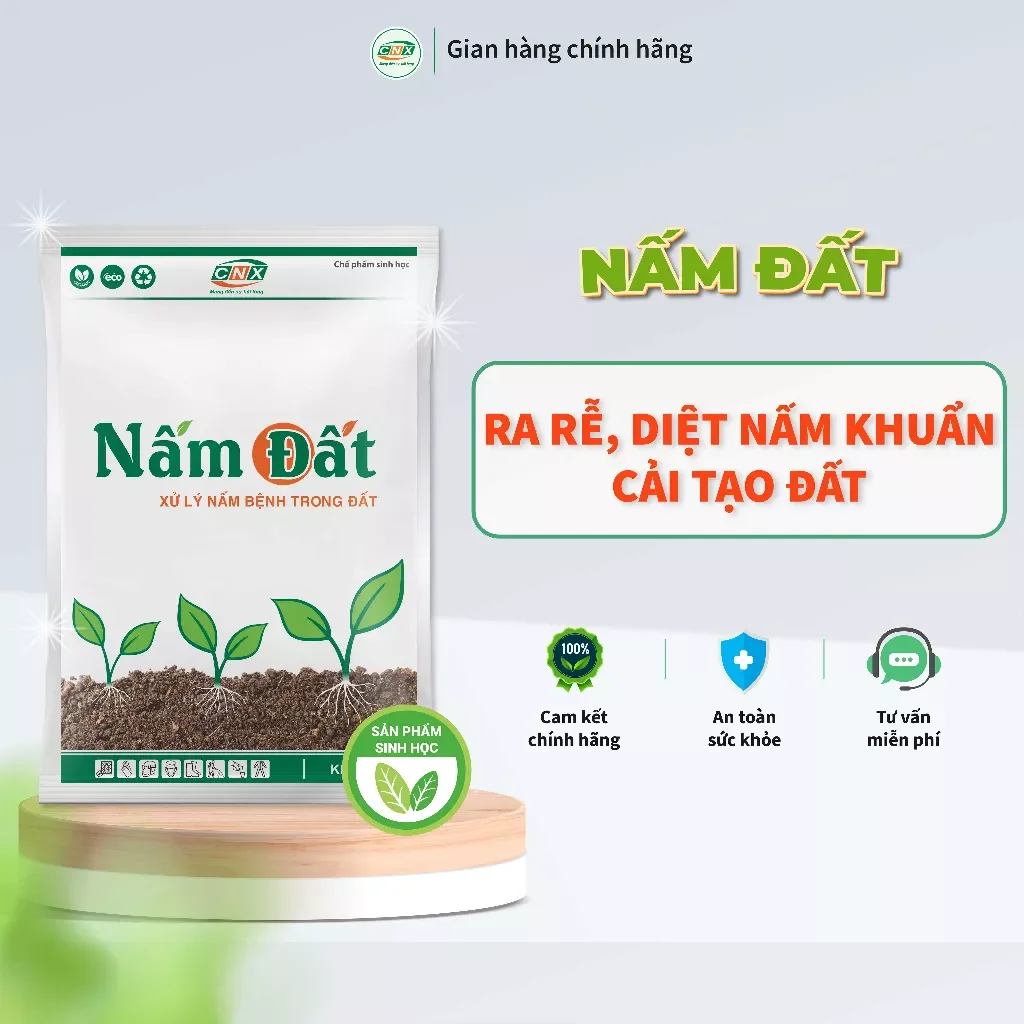 Nấm Đất- Xử lý nấm bệnh trong đất