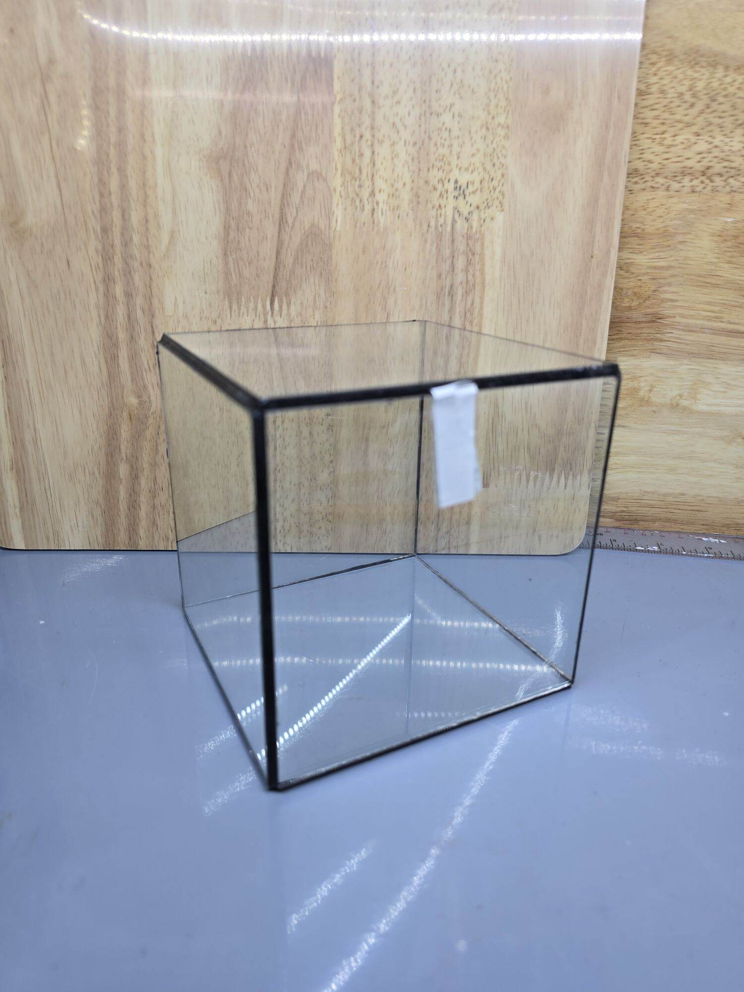 bể kính terrarium ( kính tự dán)