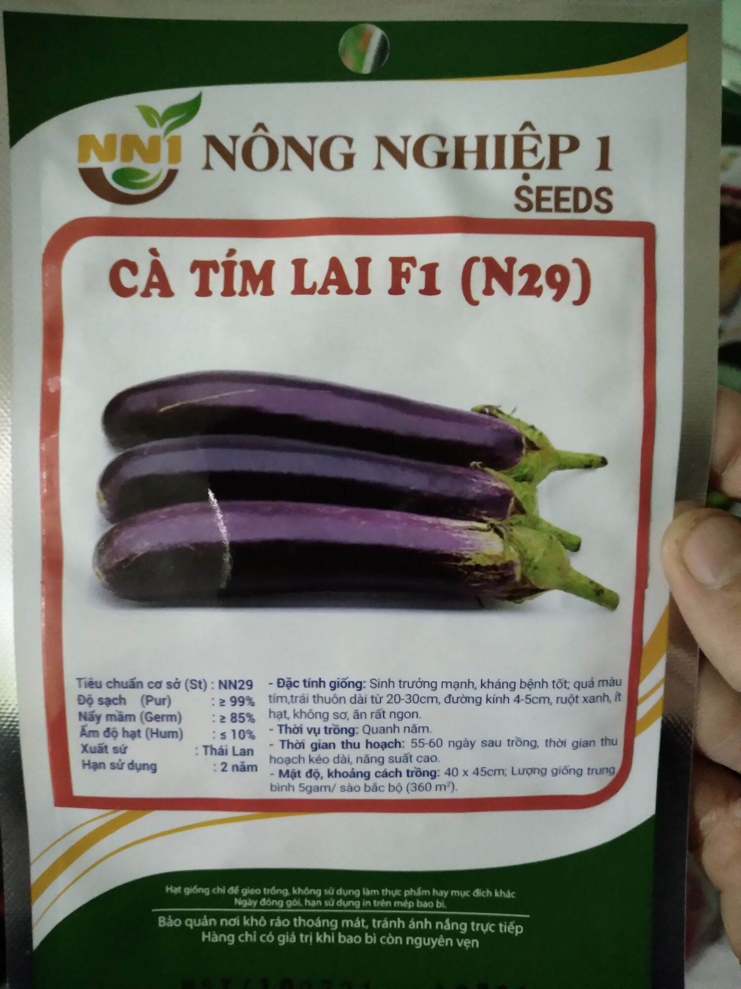 Hạt giống cà dái dê cao sản