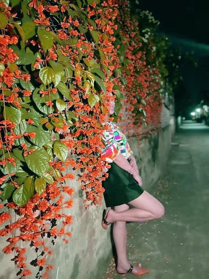 cây lan hoàng dương(cây giống)