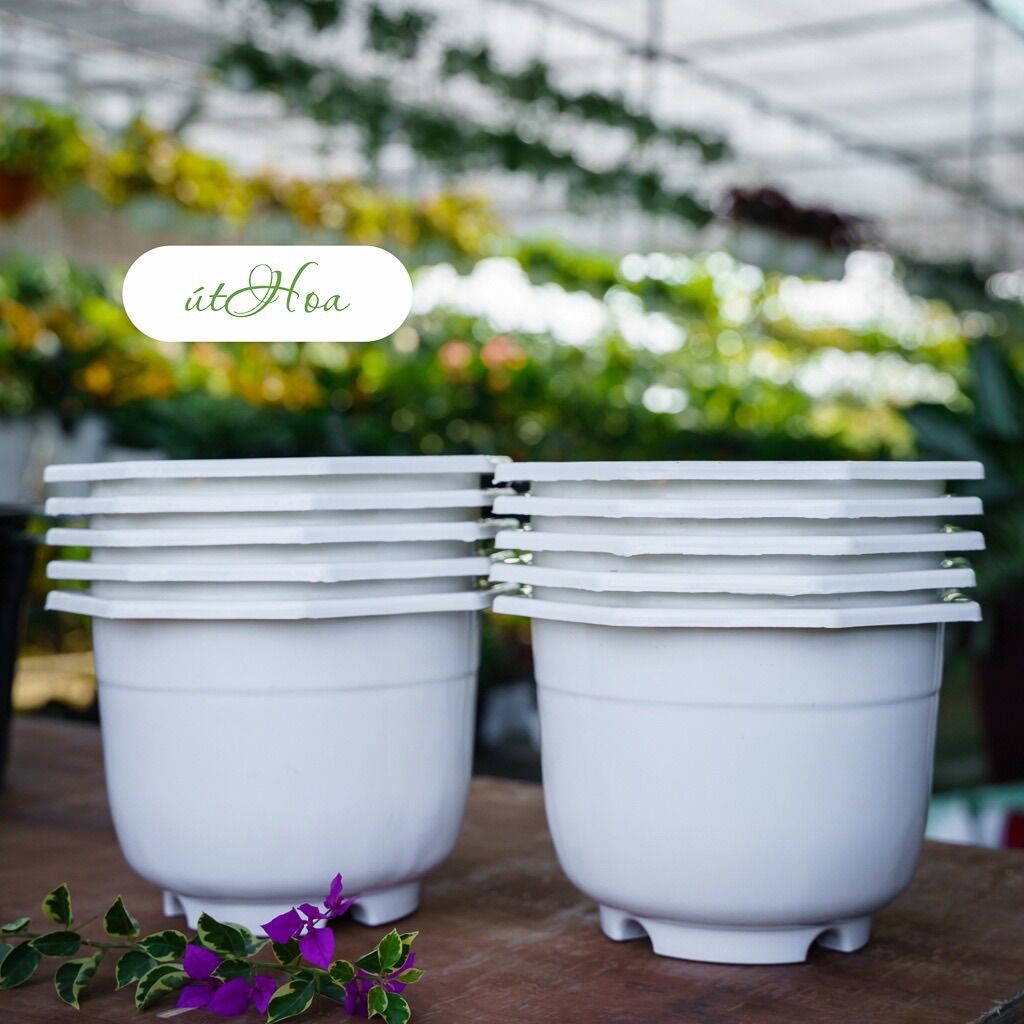 Combo 10 Chậu Treo Trắng Trơn (Kèm Dây Treo)