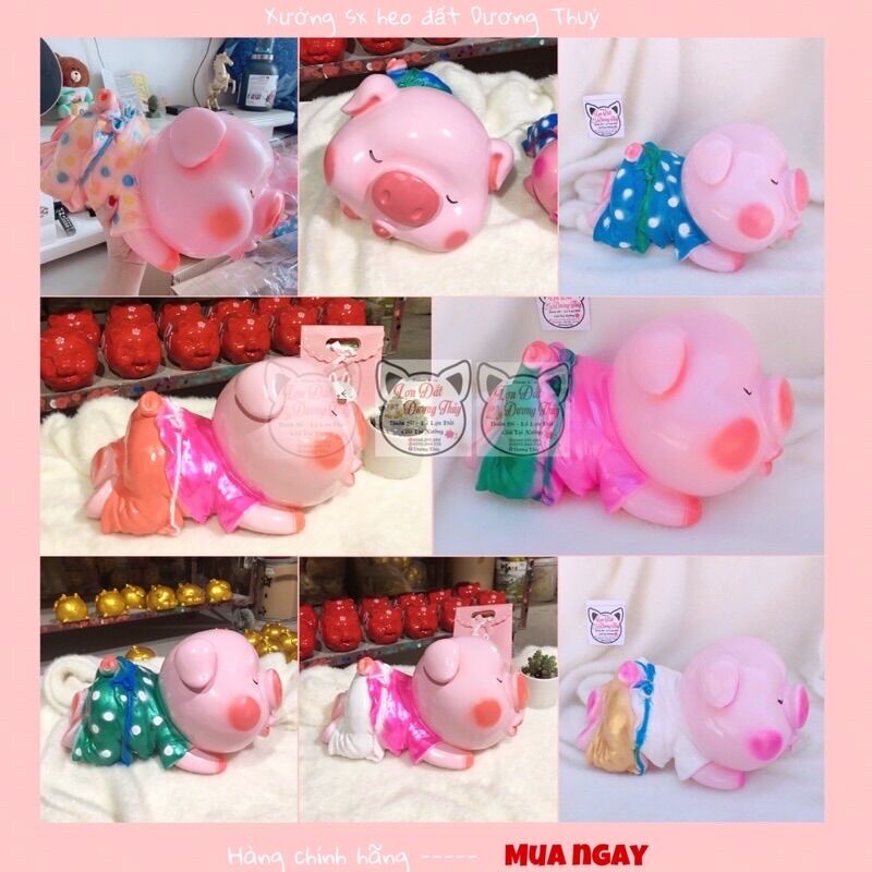 [Xả kho 3 ngày] Heo đất heo cưng, heo ngủ xinh