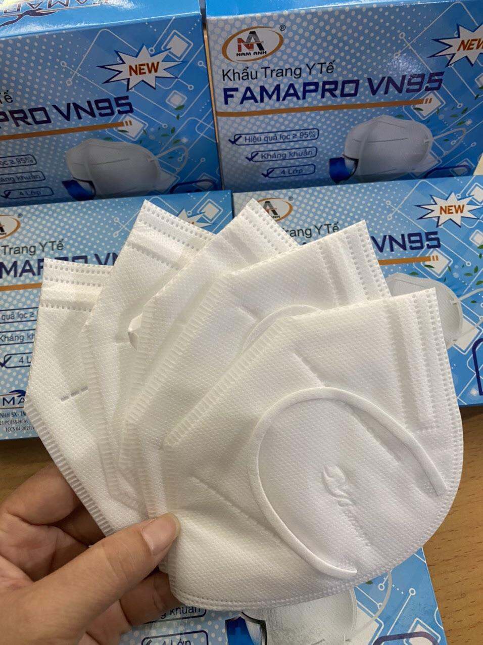 Hộp 10 cái, Khẩu trang N95 thành đạt và Famapro và khẩu trang N95 PT mask