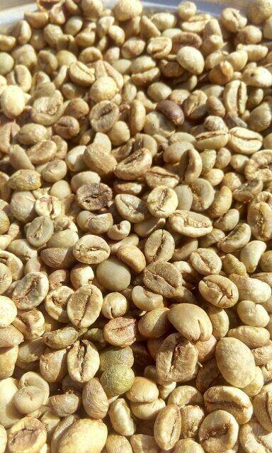 CAFE MIKA HẠT RANG MỘC ROBUSTA CHỈ CÓ 1 MÌNH CAFE Đak Lak (500gr)