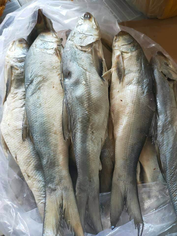 1KG KHÔ CÁ CHÉT BAO MẶN(CHƯNG MẮM ĂN BAO NGON) ĐẶC SẢN CÀ MAU