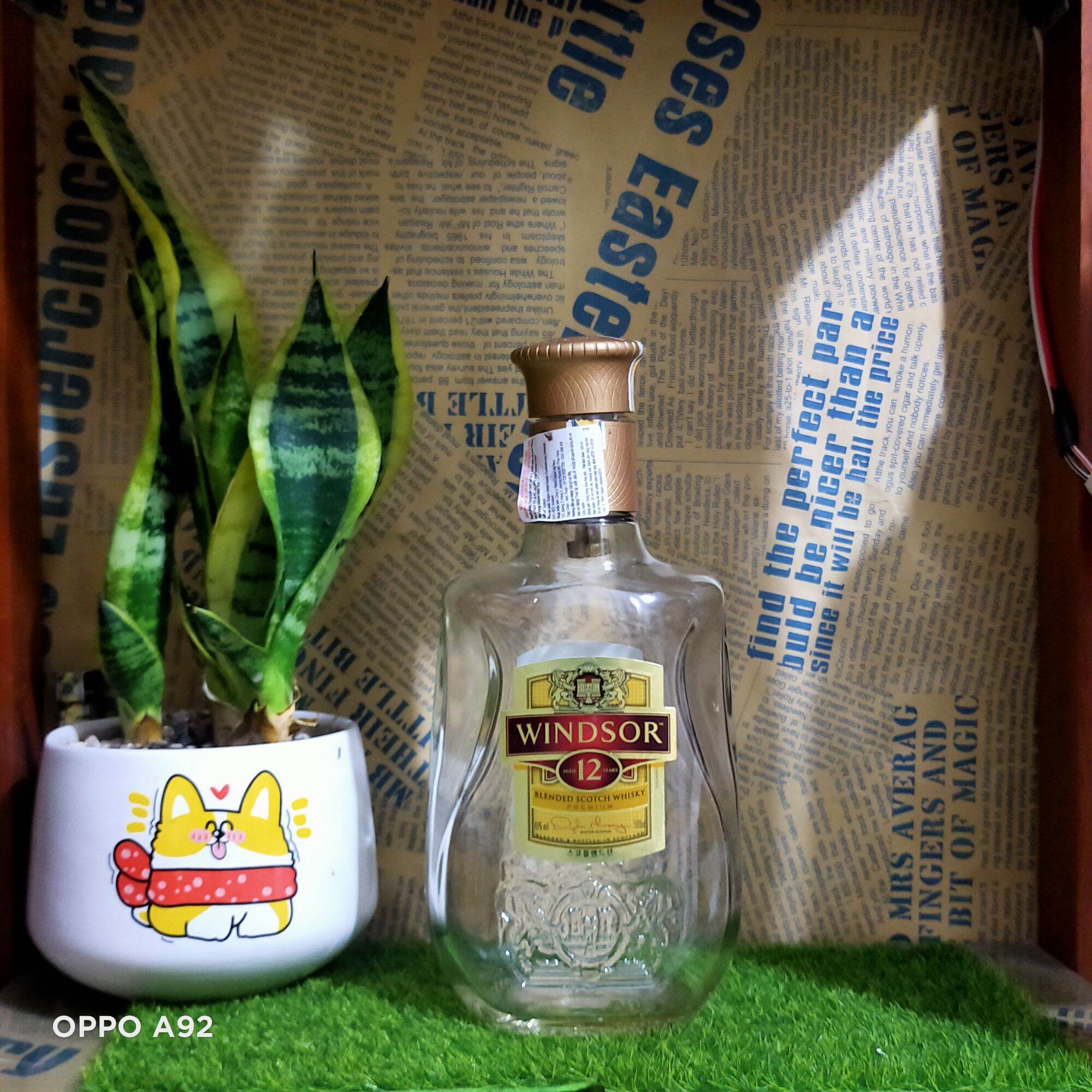 Vỏ CHAI rươu ngoại Windsor dáng thấp