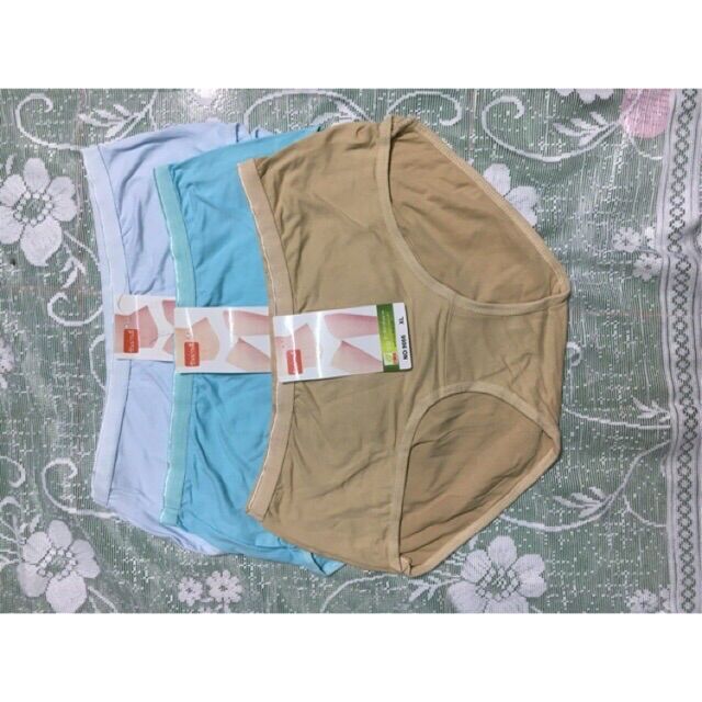 Set 5 Quần lót bà già, quần lót nữ cotton, quần lót trung niên
