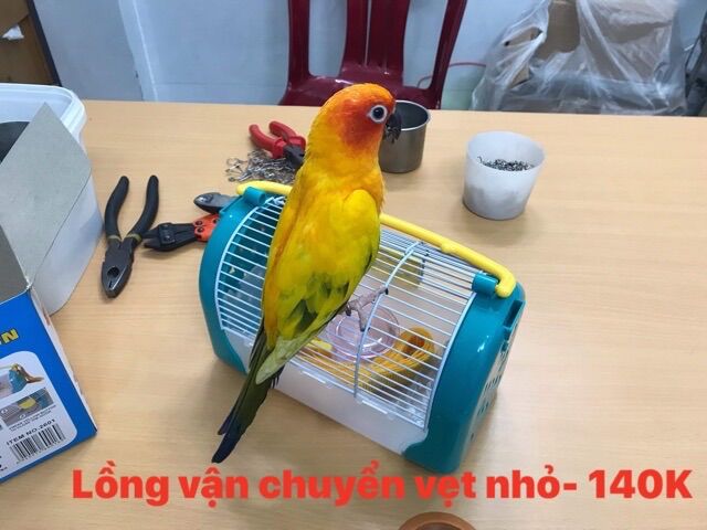 Lồng vận chuyển vẹt nhỏ / hamster.