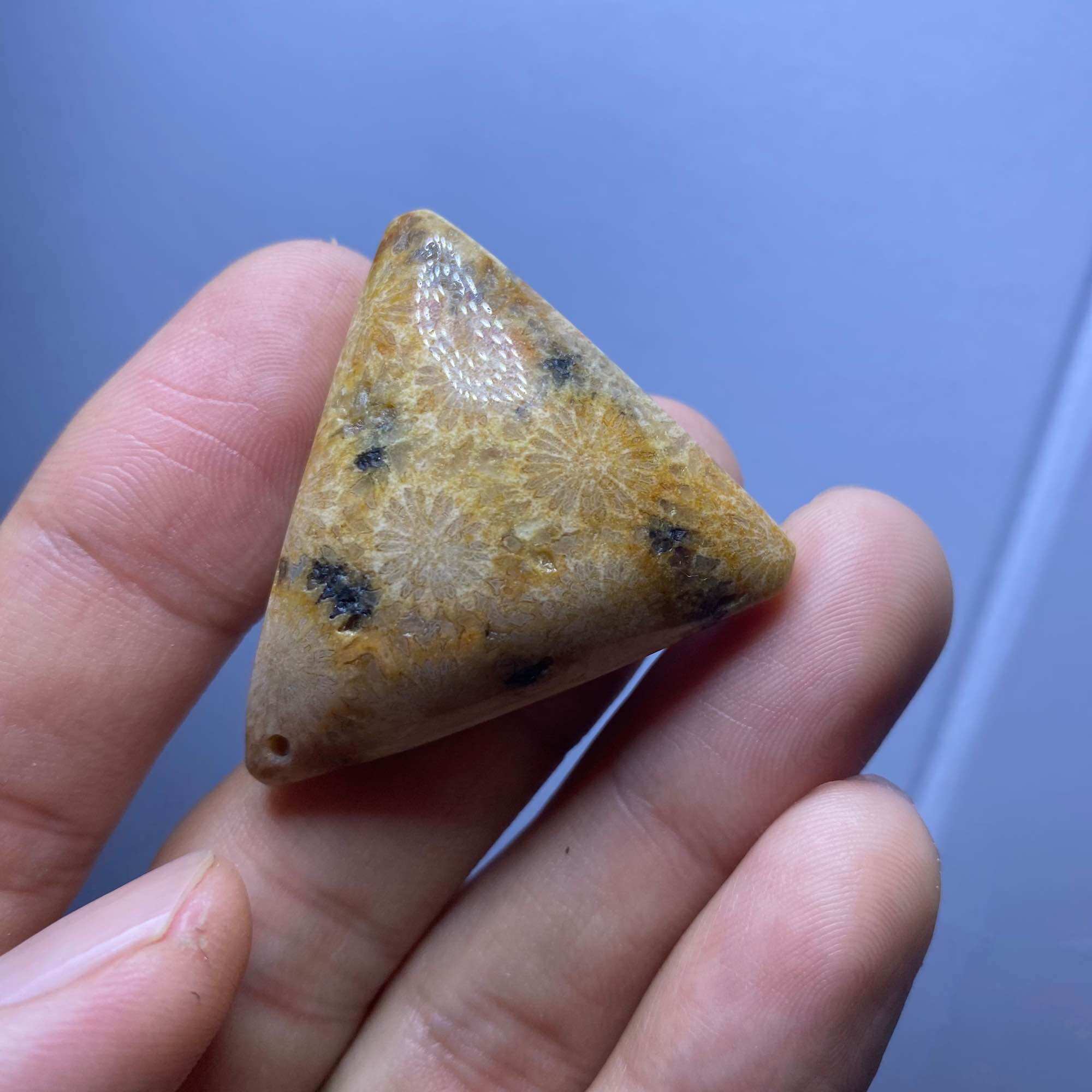 9905-MẶT SAN HÔ HOÁ THẠCH MÀU CAM (THIÊN NHIÊN) không xử lý