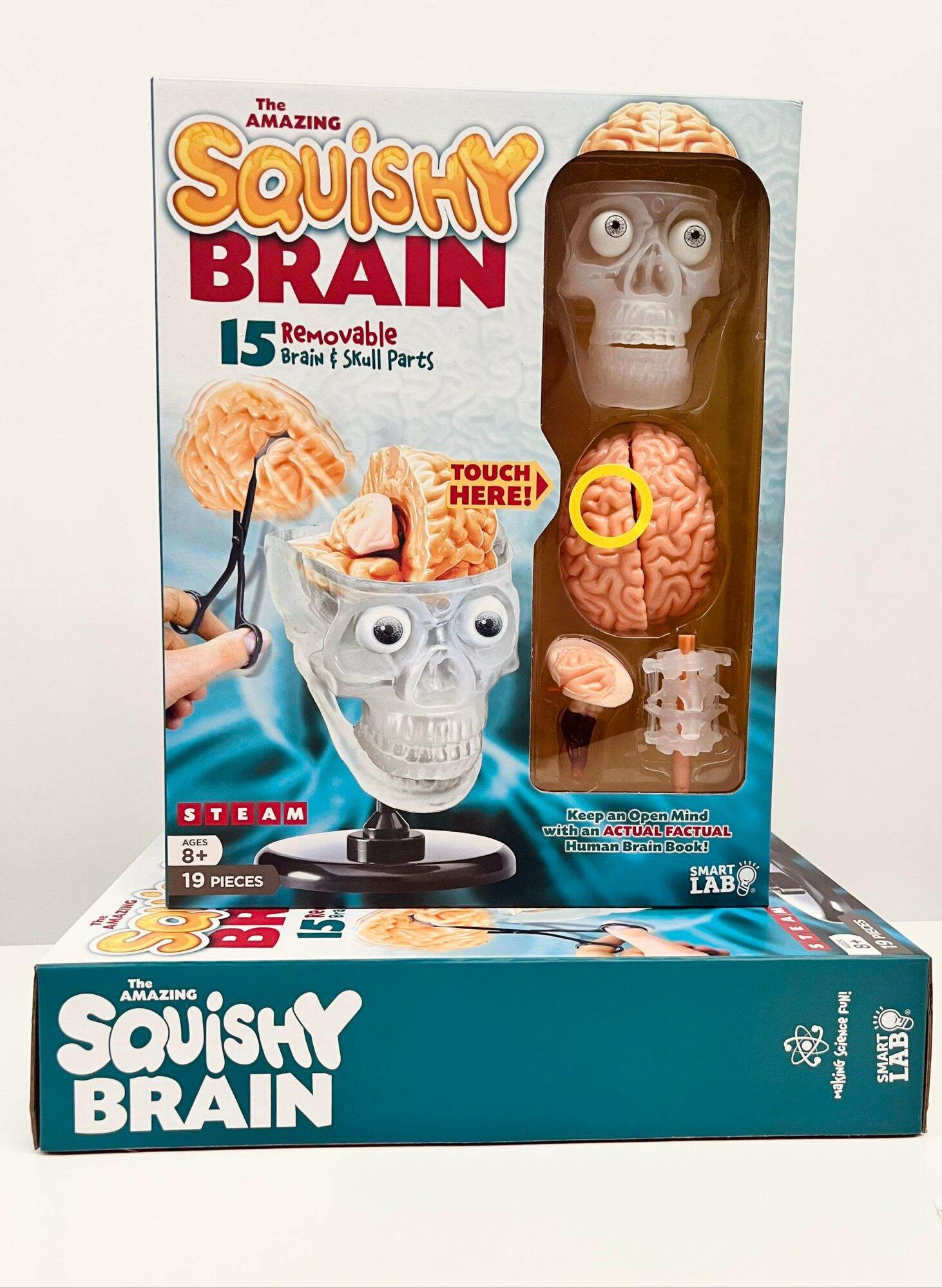 Mô hình não bộ - the amazing squishy brain : 15 removable brain & skull parts