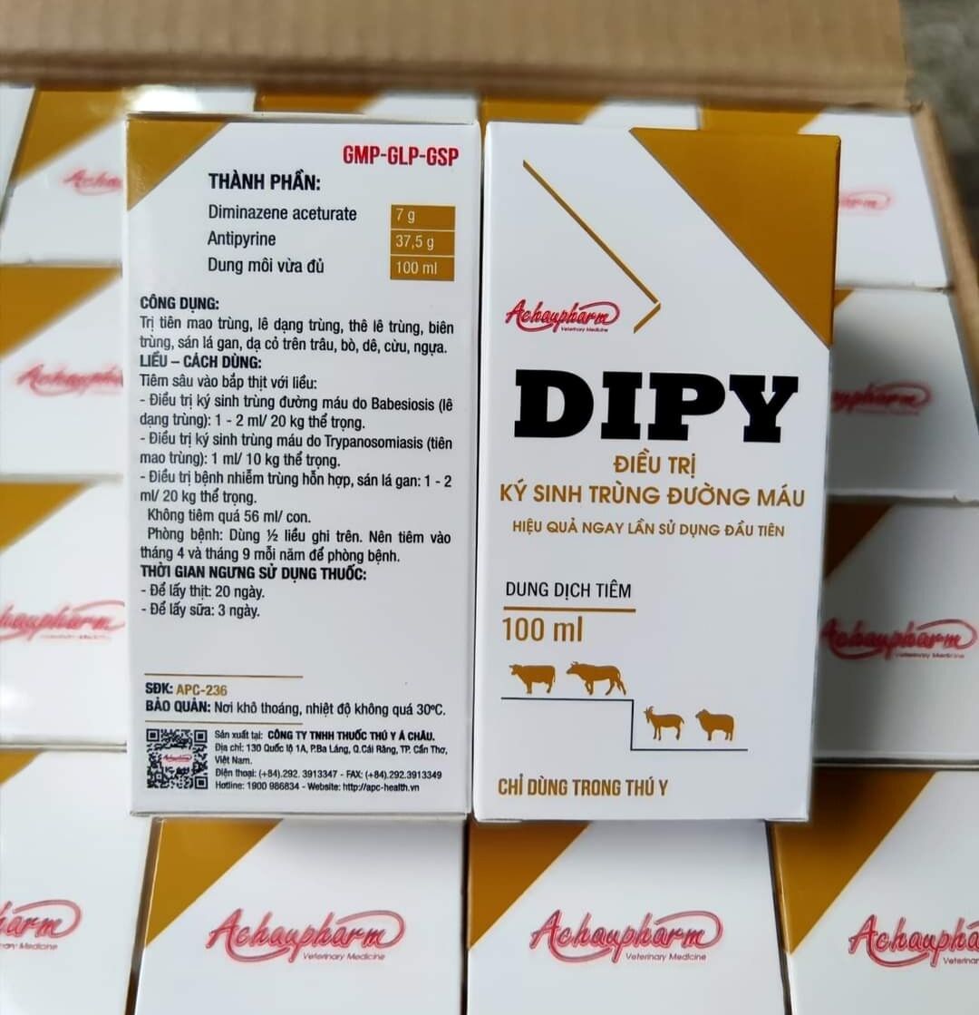 Dipy tiêu diệt ký sinh trùng đường máu trên trâu bò