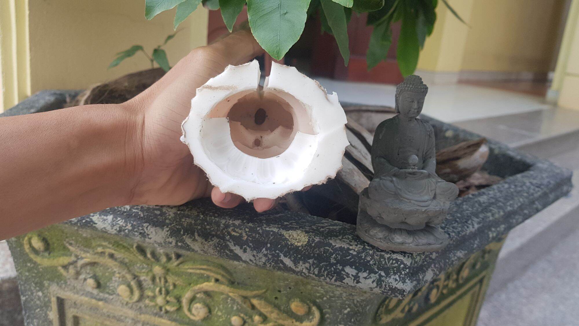 Khuôn đúc tượng phật ADida