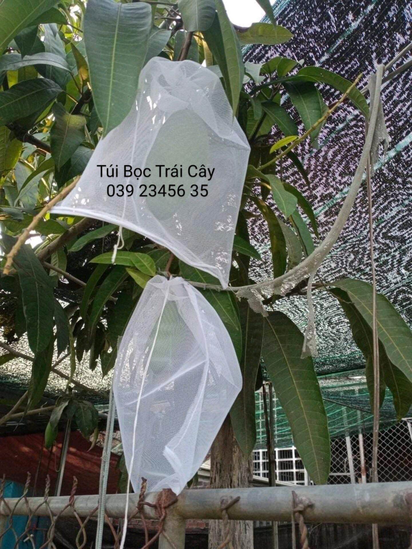[Túi 20*35] 100 CÁI TÚI LƯỚI BAO, BỌC TRÁI NHO, MƯỚP, KHỔ QUA CHẤT LIỆU LƯỚI TỐT KÍCH THƯỚC 20*35