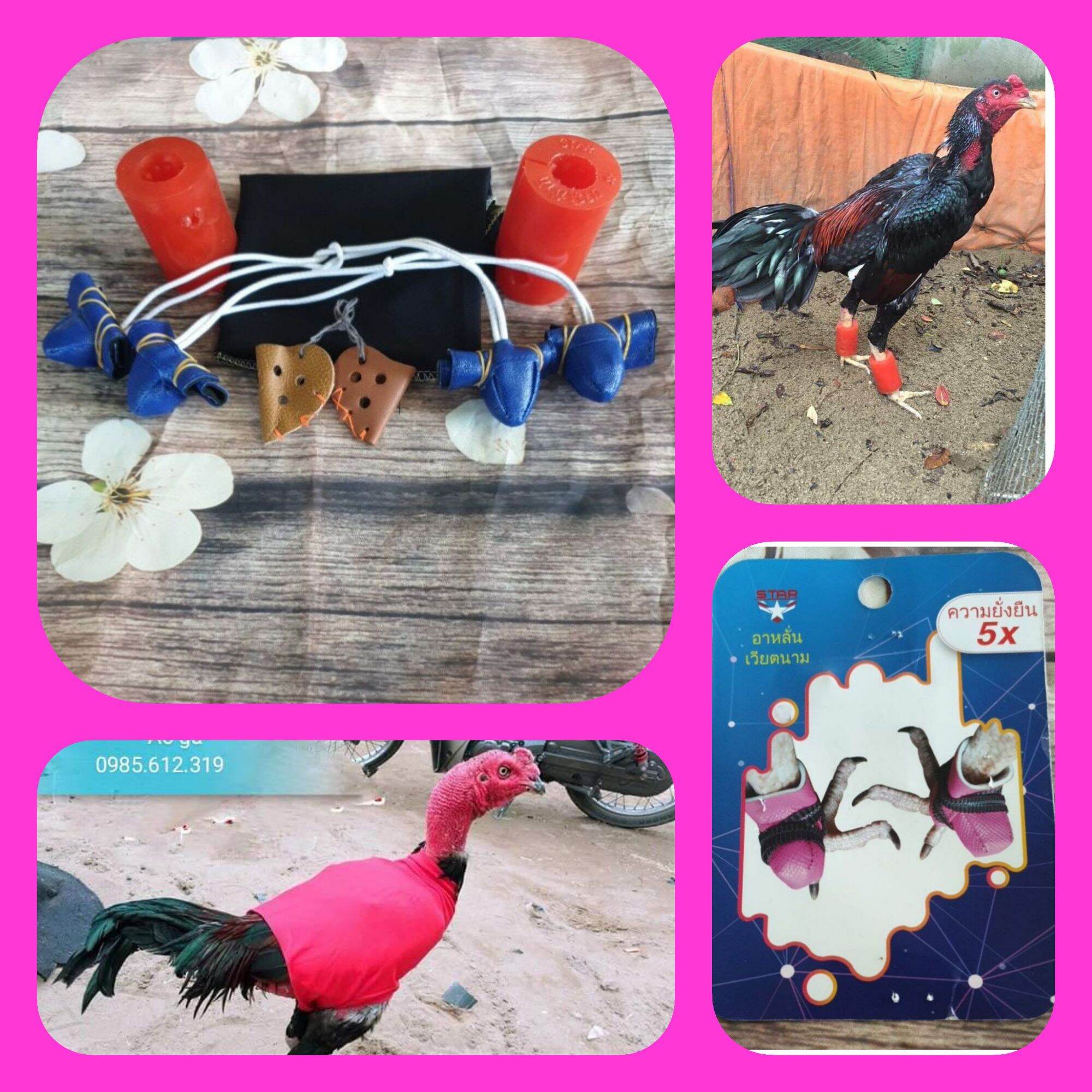 combo bộ phụ kiện cần thiết cho gà đá gồm : tạ cao su- áo gà- 4 bịt cựa - 2 bịt mỏ