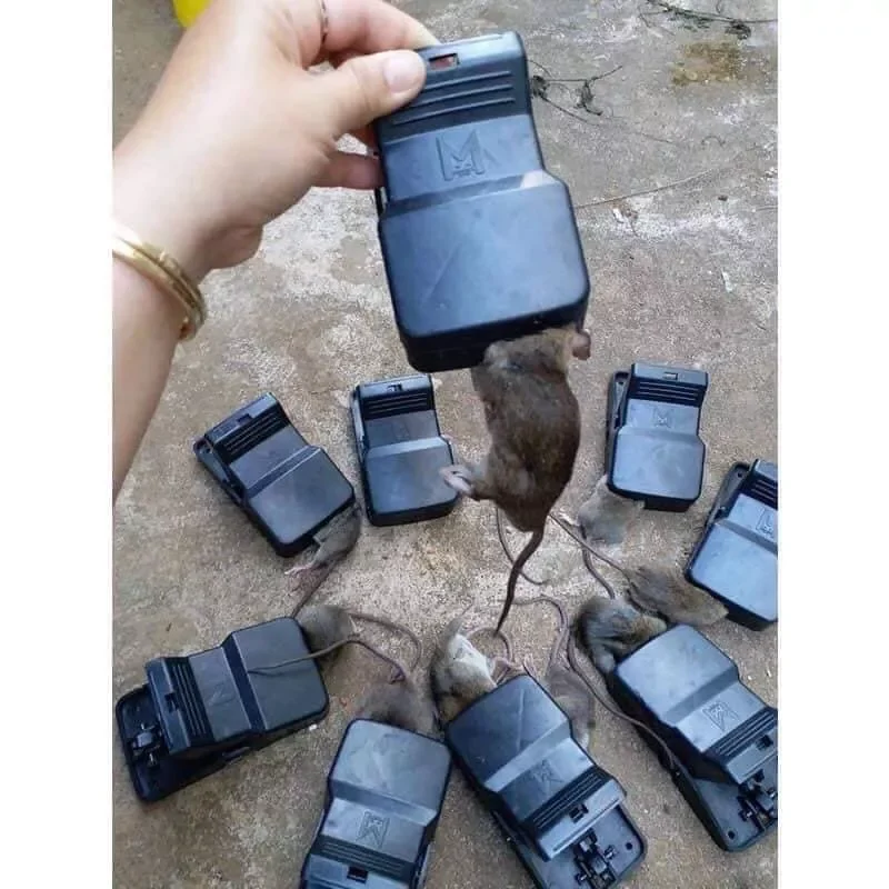10...CHIẾC CẠM NHỰA BẪY CHUỘT THÔNG MINH
