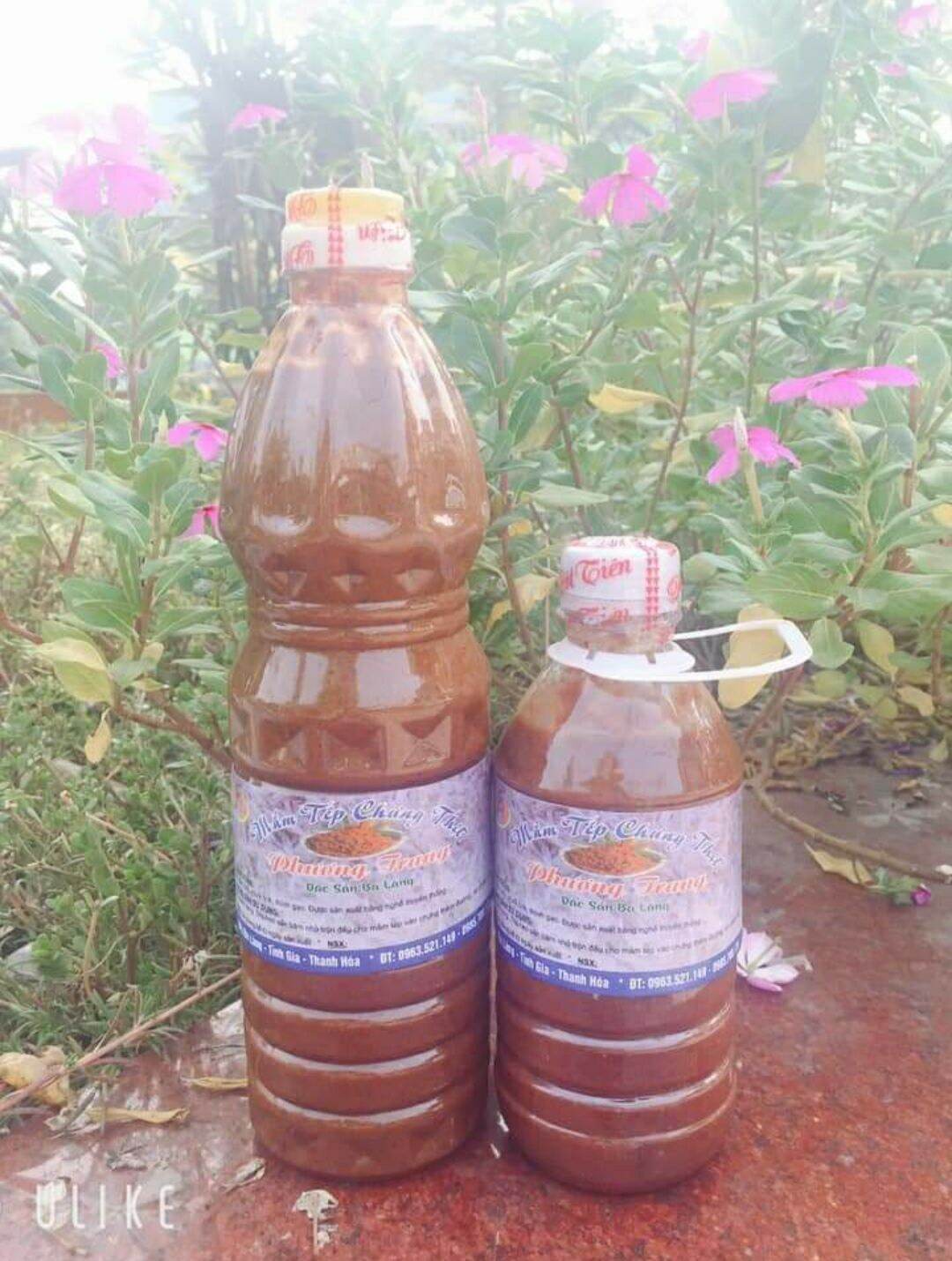 Mắm Tép Chưng Thịt Làng Tĩnh Gia Thanh Hoá
