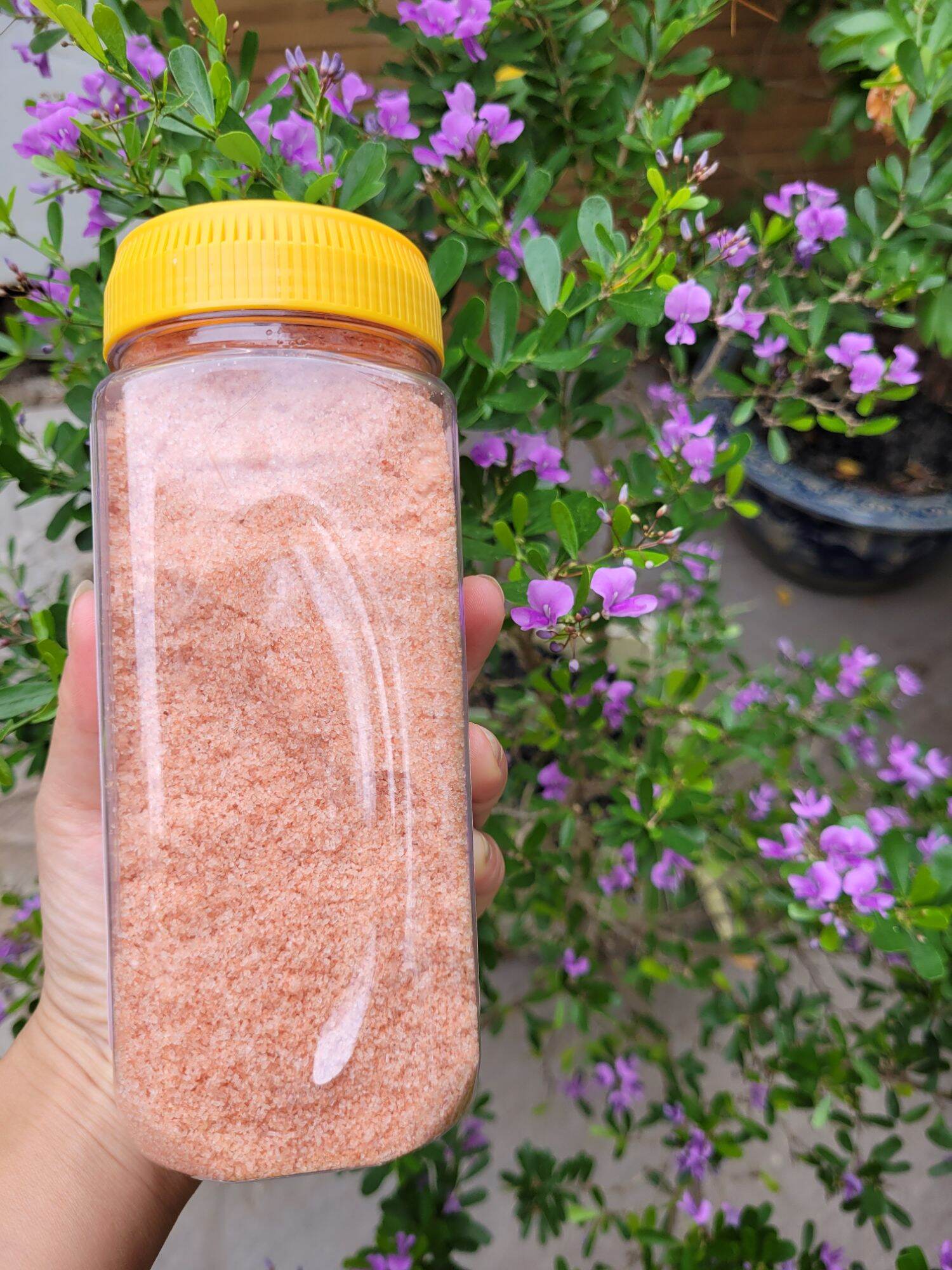 Muối hồng hymalaya- muối ăn - hộp 550gr