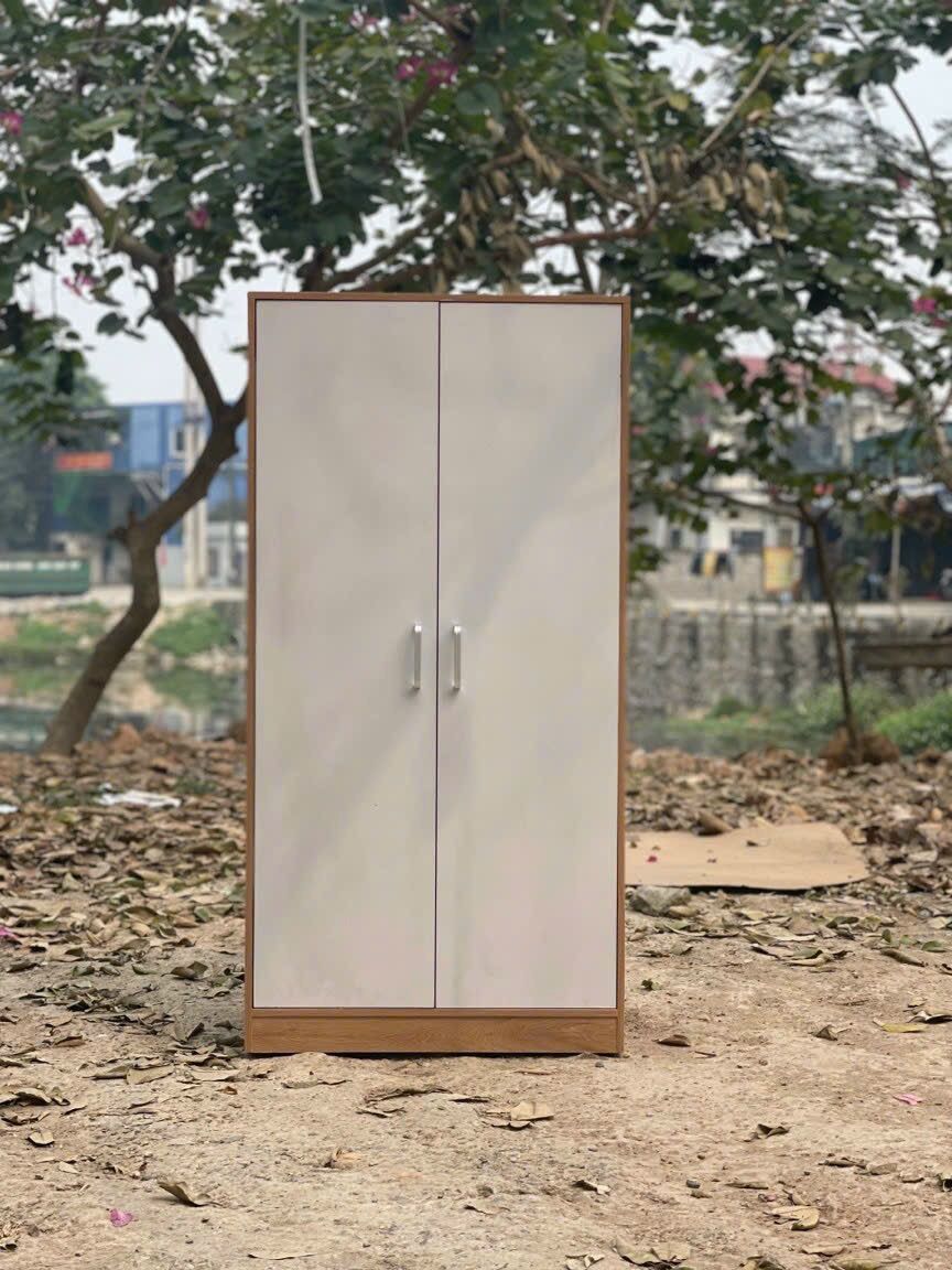 Ship hoả tốc Tp.HCM - Tủ quần áo 2 cánh lớn đa năng (120 x 60 x 40cm)