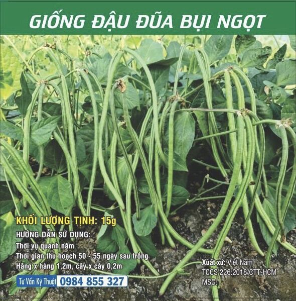 Giống Đậu đũa bụi ngọt
