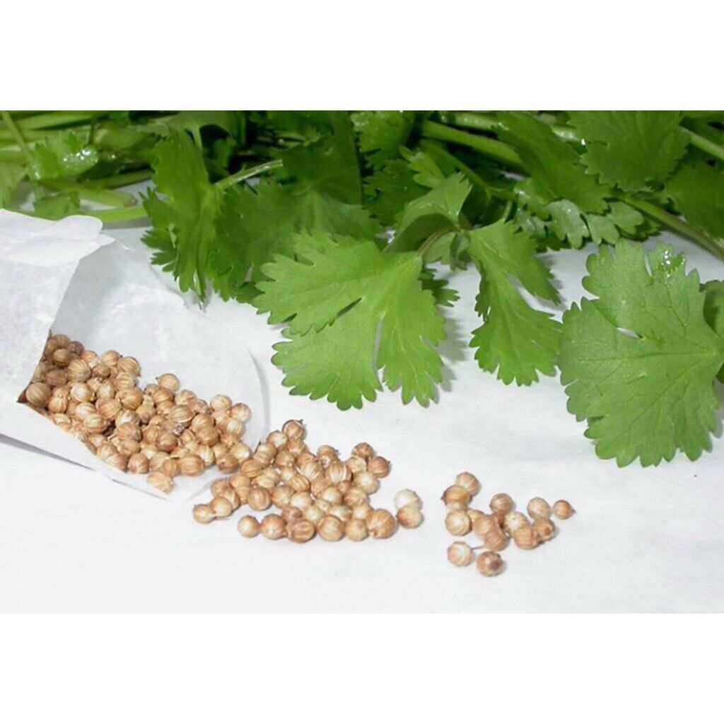 Hạt Ngò Ướp Thịt Nướng Vipep - Hũ 300g