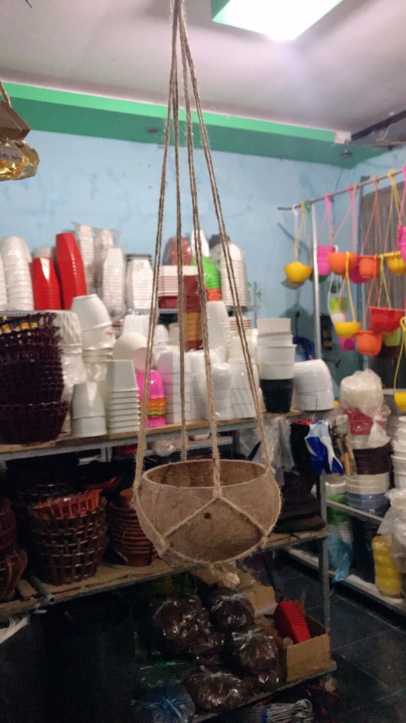 Chậu gáo dừa kèm dây treo (không kèm cây)