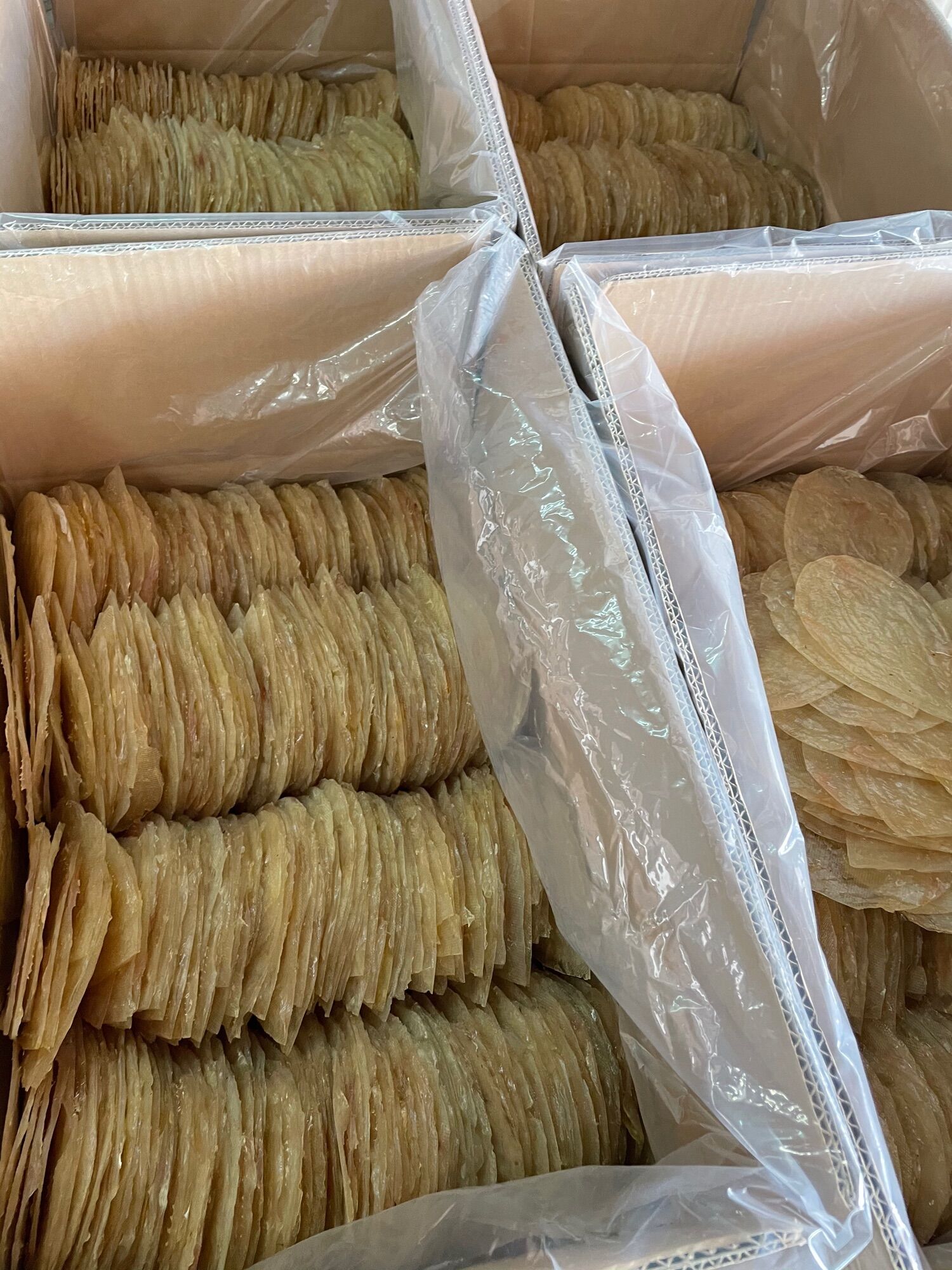 Khô Cá Chai/Cá Chai/ Cá Ghép 1KG