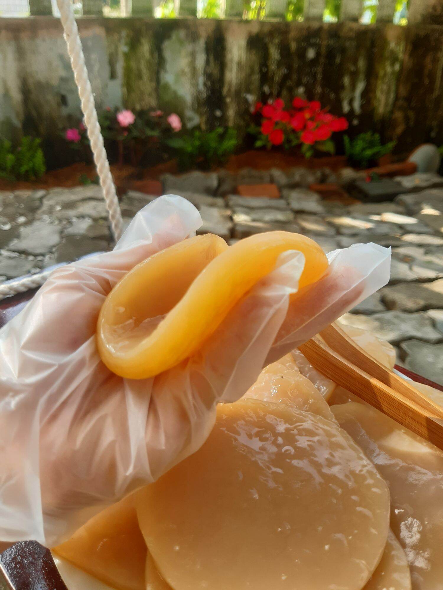 Trà Jun Kombucha (Champagne của Kombucha)