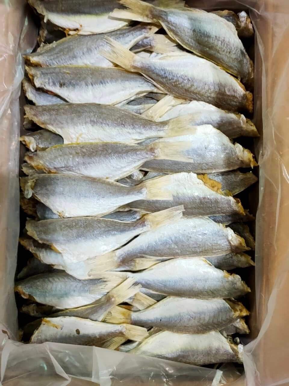 Cá phèn khô -500g