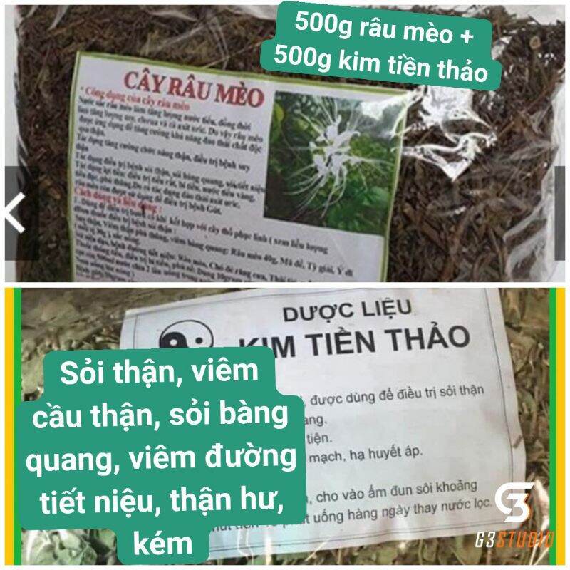 Cây kim tiền thảo+ râu mèo