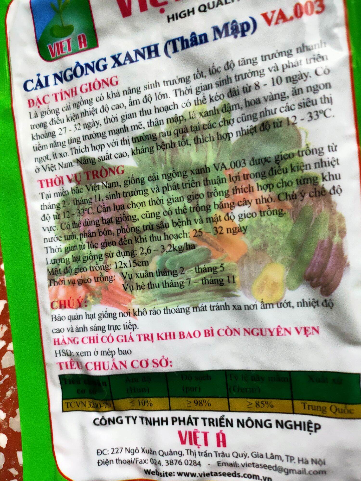 hạt giống cải ngồng thân mập [20g]