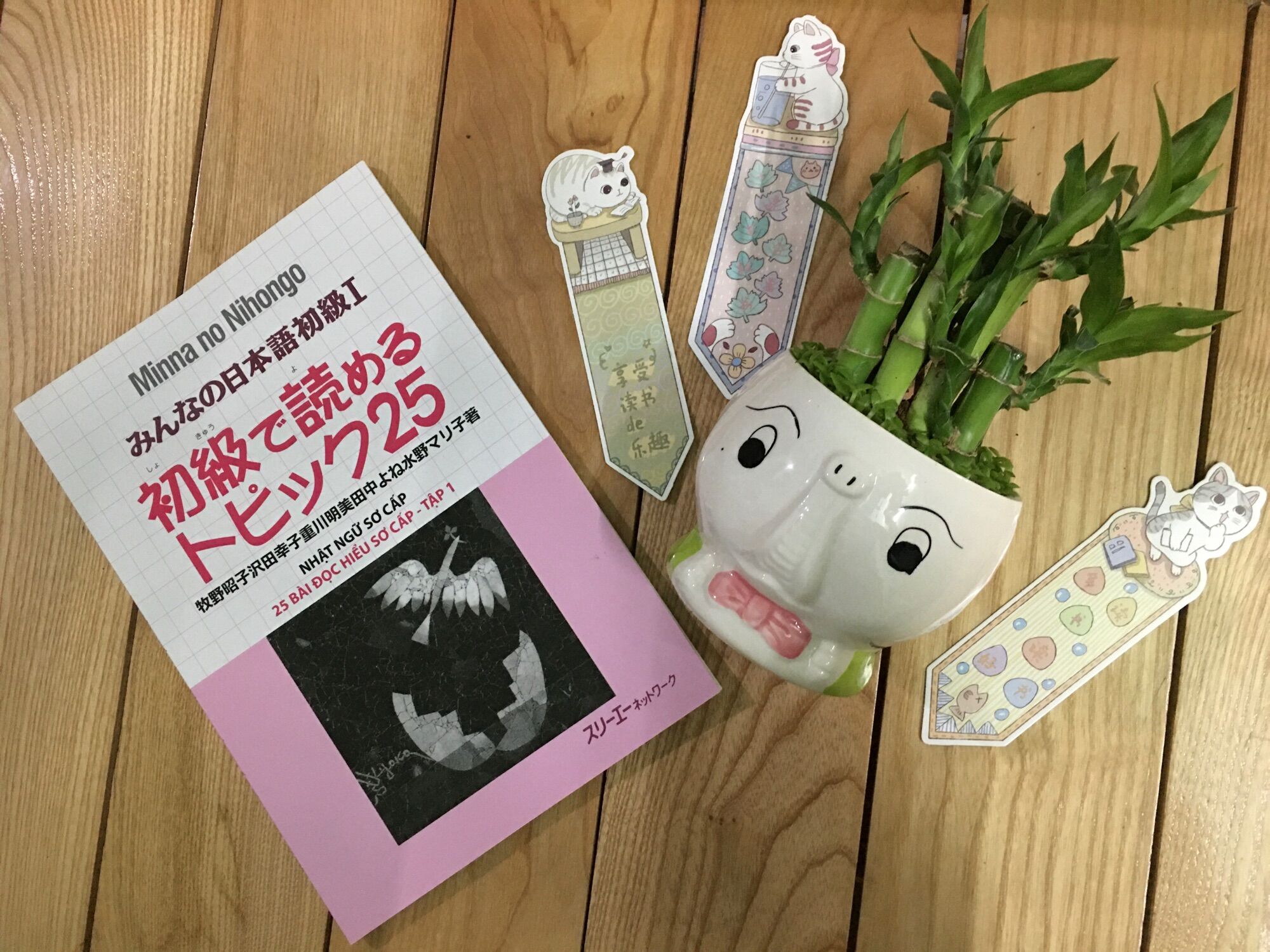 Minano Nihongo 1: Đọc hiểu Topikku