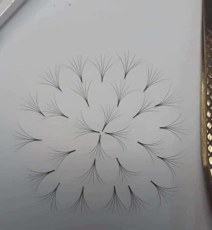 Mi fan 5D  1000pan