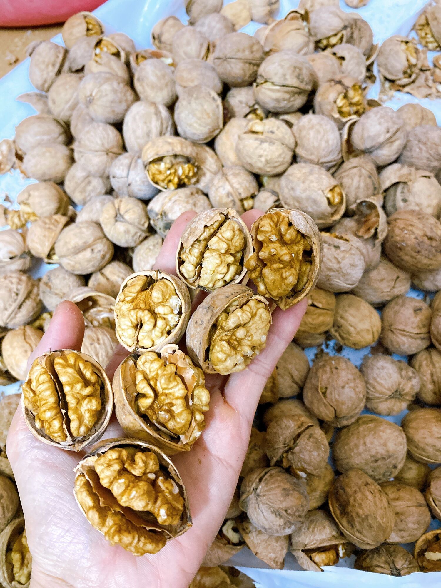 500gr Nhân Óc Chó Vàng khách đặt mới bóc