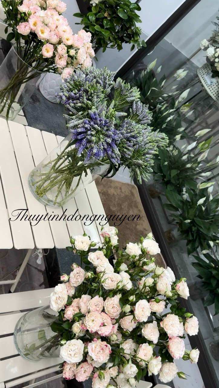 (D12cm x H25cm) Lọ hoa bình thuỷ tinh trụ tròn 12x25cm (đường kính 12cm cao 25cm)