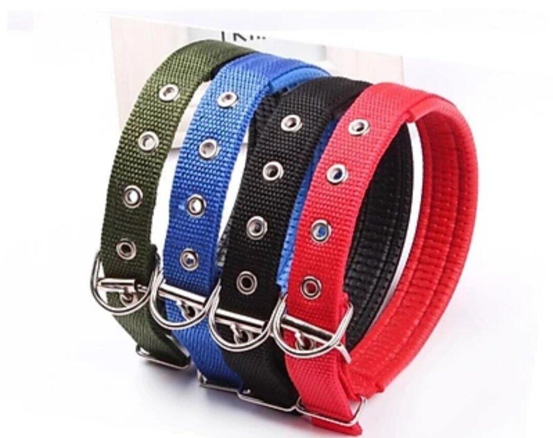  DÂY ĐAI ĐEO CỔ CHO CHÓ MÈO- MÀU ngẫu nhiên 