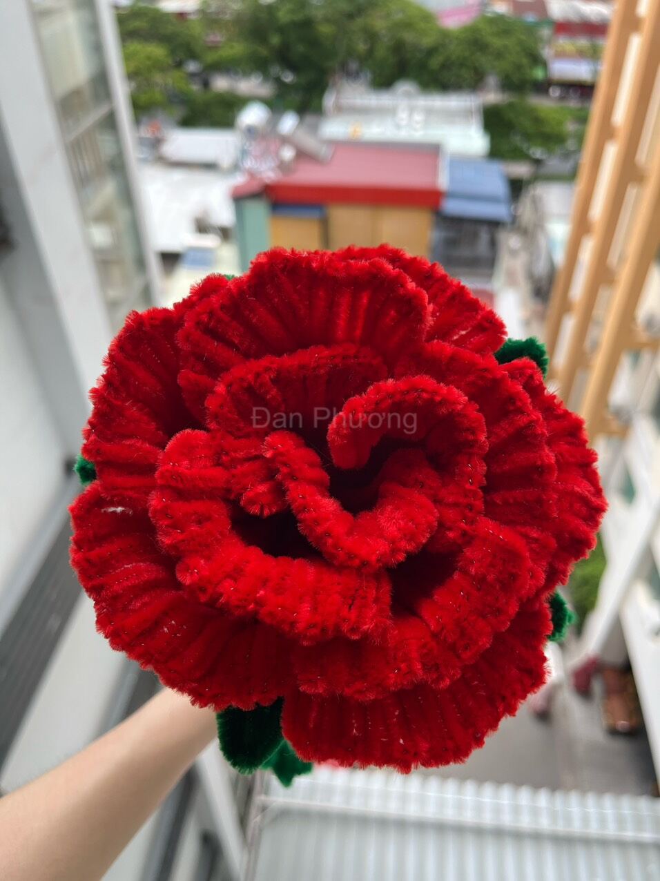 Hoa hồng khổng lồ