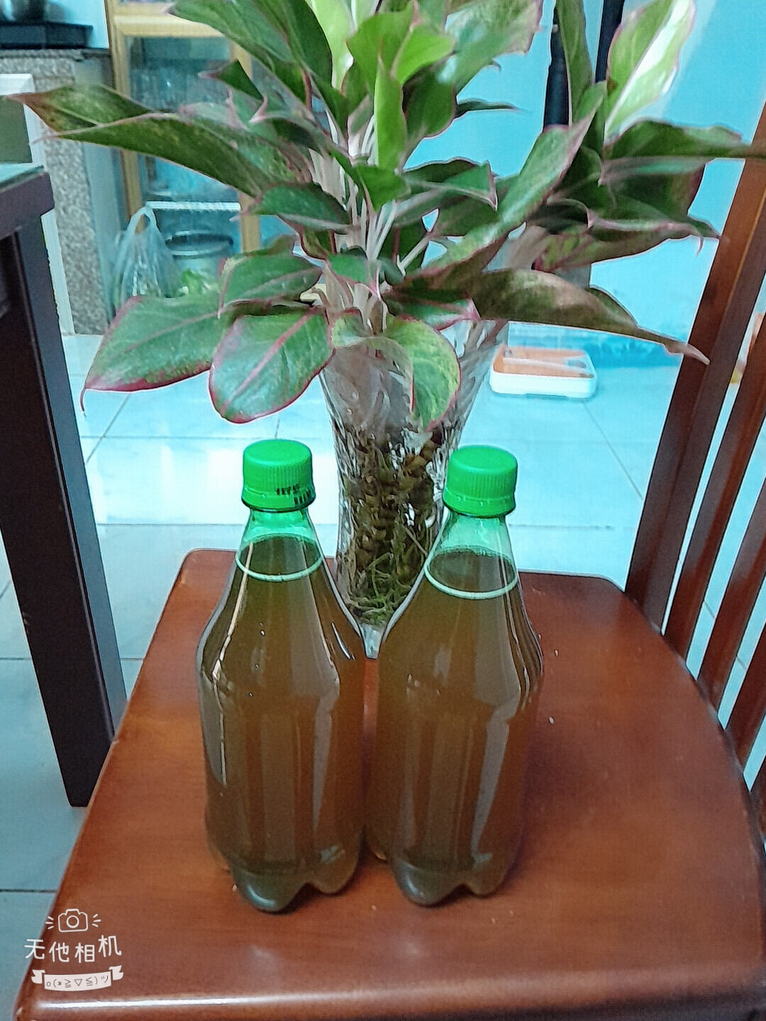 mật ong nguyên chất giá  200k 1 chai